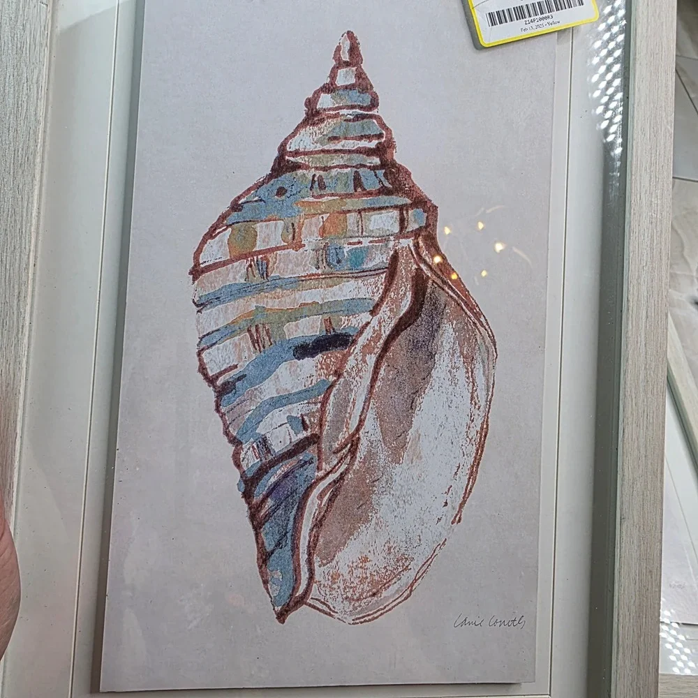 Lanie Loreth Seashell Framed Art Set 3 Coastal Nautical Watercolor Wall Decor‎